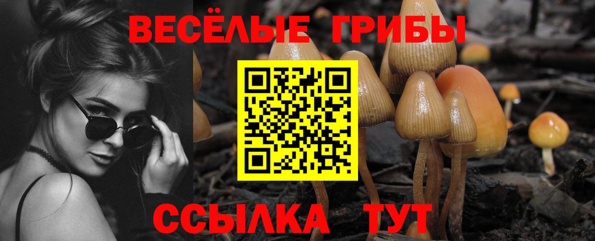 Красноперекопск  Псилоцибиновые грибы MAGIC MUSHROOMS  Вход с VPN 